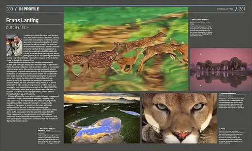 Photography - фото 10