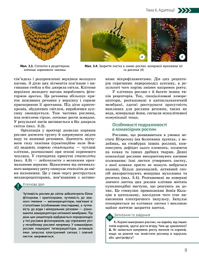 Біологія і екологія. Підручник. Профільний рівень. 11 клас - фото 8