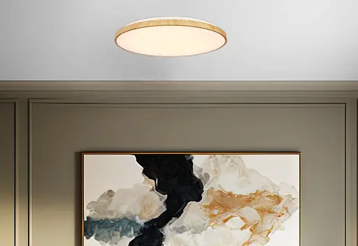 Стельовий світильник Candellux 16-33949 TENS - фото 4