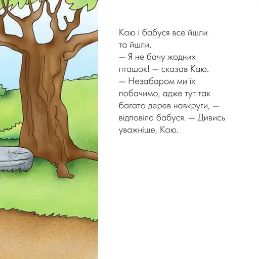 Книга Каю спостерігає за пташками. Мої історії. Автор - Аллен Франсін (Богдан) - фото 6