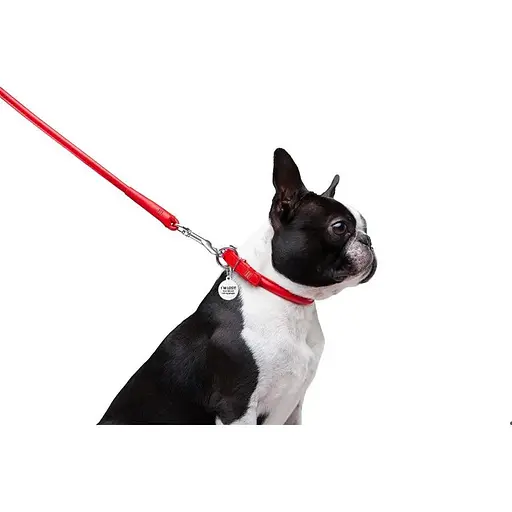 Повідець для собак Waudog Glamour шкіряний круглий, червоний - фото 4