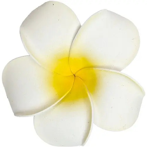 Заколка Гавайи - фото 1