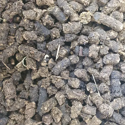 Іван чай з чорницею (ферментований чорний) сушений - свіжий урожай 100 г 