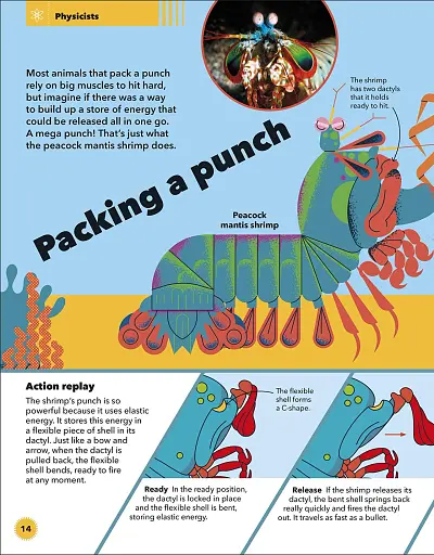 Wild Scientists - фото 2