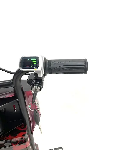 Дрифт-карт ElectrO Crazy Bug Premium 350W пламя - фото 4