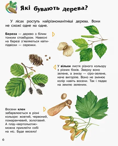 Детская энциклопедия про лес 614016 для дошкольников - фото 3