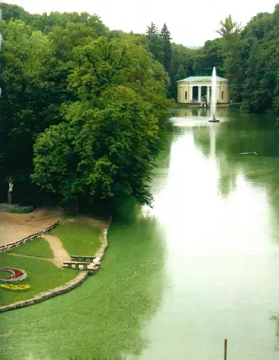 Забуті парки, старі фільварки. Мандрівка палацами України - фото 11