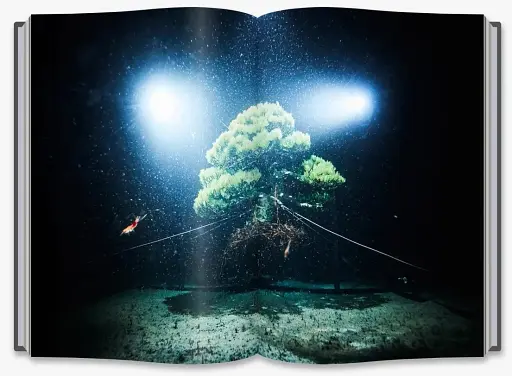 Flower Art. Makoto Azuma - фото 4