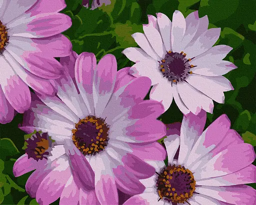 Картина по номерам. Art Craft "Африканські ромашки" 40 * 50 см 13113-AC