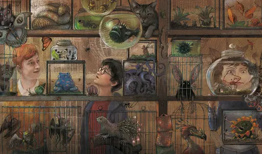 Гаррі Поттер і в'язень Азкабану. Ілюстроване видання - фото 4