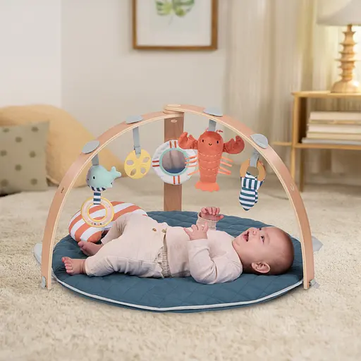 Розвиваючий килимок Ingenuity Cozy Spot Harbor Haven (17486) - фото 4