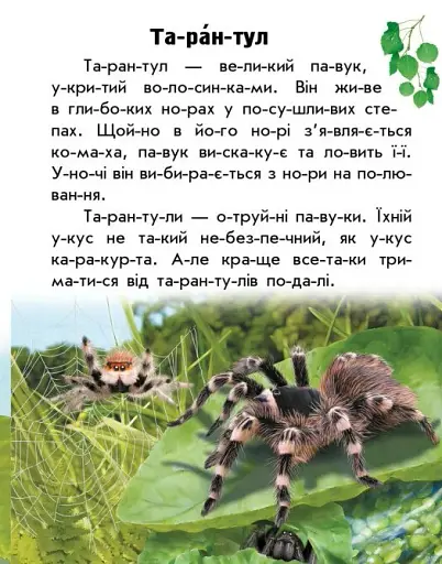 Читаю про Україну. Тварини степів - фото 7