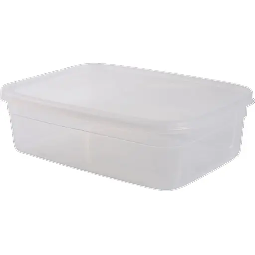 Контейнер плоский Violet House 0493 Transparent л (0493 Transparent прям. 3 л) - фото 1