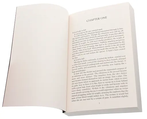 The Witcher. Season of Storms - фото 2