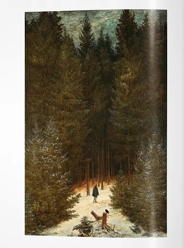 Friedrich - фото 2