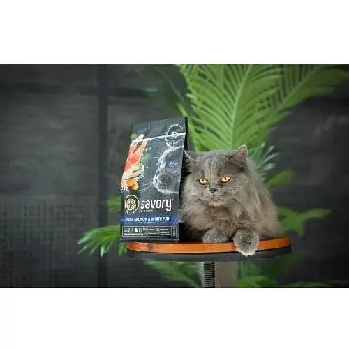 Сухой корм Savory для длинношерстных кошек со свежим лососем и белой рыбой 400 г - фото 4