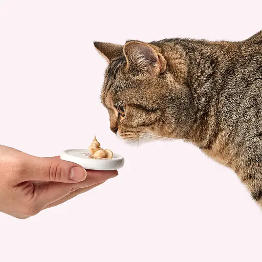 Ласощі кремові для котів Delickcious ягня з додаванням коричневого рису та цукіні 60 г (4х15 г) - фото 7