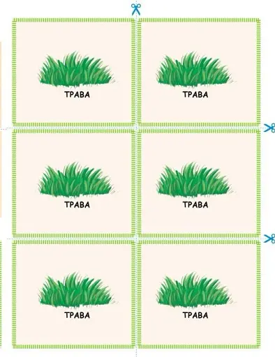 STEM-Старт. Зошит для учня. Наука про життя. 3 клас - фото 15