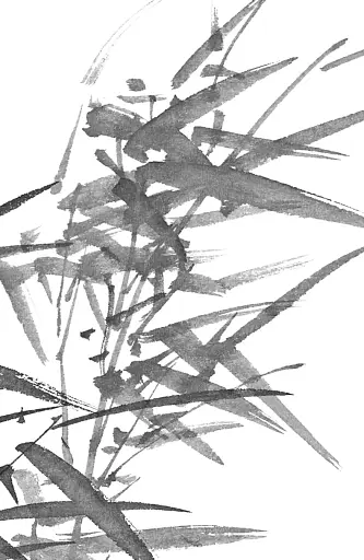 Чорне біле - фото 3