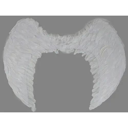 Крылья ангела большие - фото 1