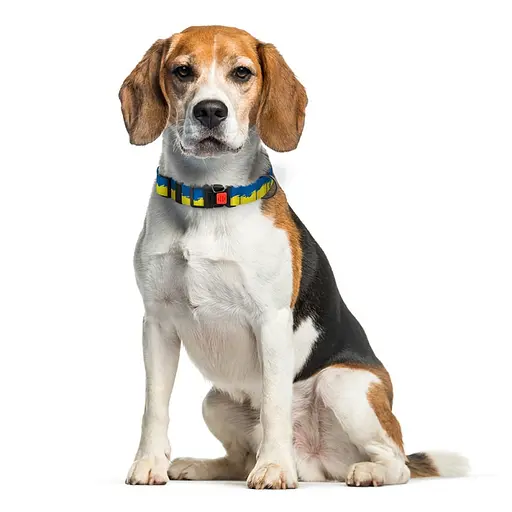 Ошейник для собак Баркси Urban патриотический Флаг - фото 4