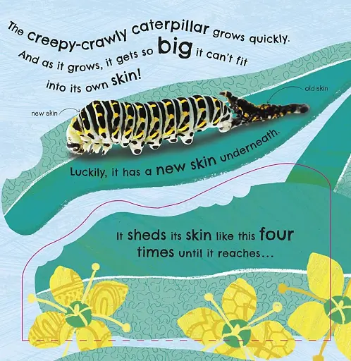 How Does a Butterfly Grow? - фото 6