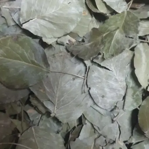 100 г груша лист сушеный