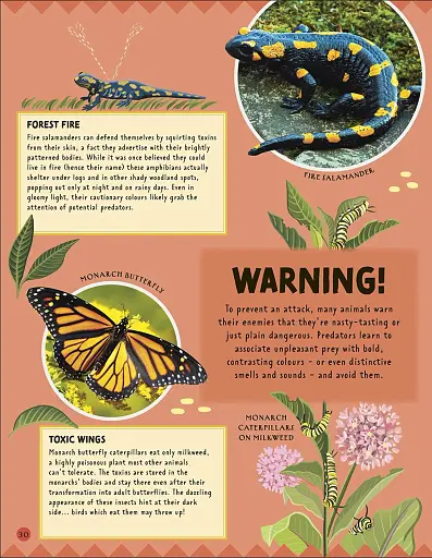 How Not to Get Eaten - фото 9