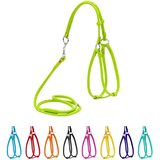 Шлея з повідцем для собак Waudog Glamour шкіряна з QR паспортом, кругла, салатовий - фото 3