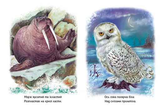 Книга Тварини світу. Малятам про звіряток. Автор - Григорій Меламед (Ранок) - фото 4