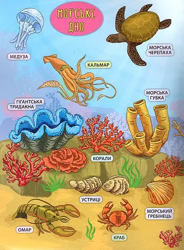Енциклопедія з наліпками. Мешканці морів та океанів - фото 2