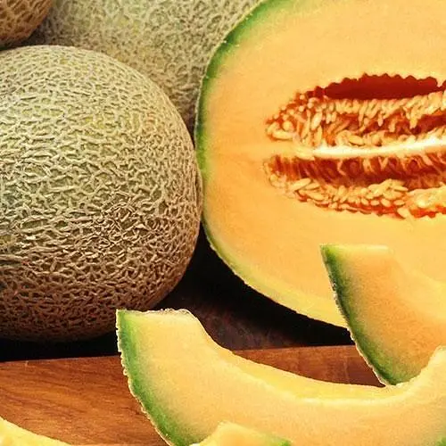 Дыня Весна Ананас (в банке) Органик 15г (44979) - фото 2