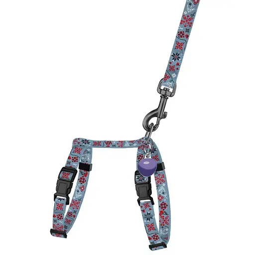 Шлея з повідцем для котів та дрібних собак Барксі Urban патріотична розмір XXS Калина