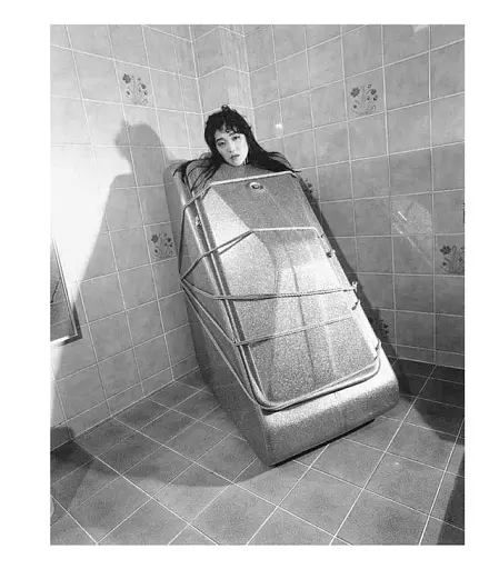 The Araki Effect - фото 5