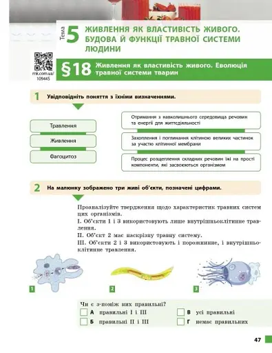 Біологія. 8 клас. Робочий зошит до підручника Ольги Тагліної - фото 12