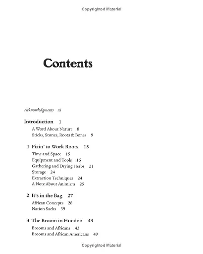 Sticks, Stones, Roots Bones: Hoodoo, Mojo Conjuring with Herbs - Stephanie Rose Bird - фото 2