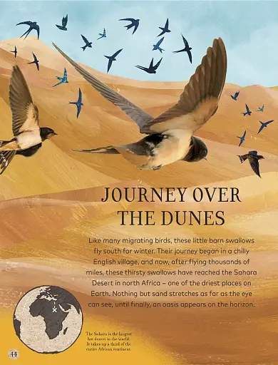 Through the Animal Kingdom - фото 5