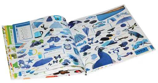 500 перших слів. Вивчаємо кольори розвиваємо увагу - фото 10