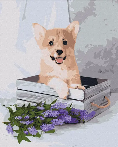 Картина за номерами на підрамнику Brushme Грайливий коргі