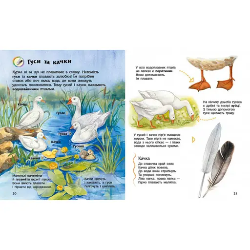 Енциклопедія дошкільника Домашні тварини 614029 для найменших - фото 3