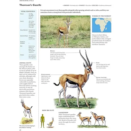 Encyclopedia of Animals - Олдертон Дэвид - фото 2