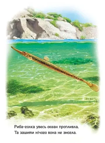 Малятам про звіряток. Тварини світу - фото 3