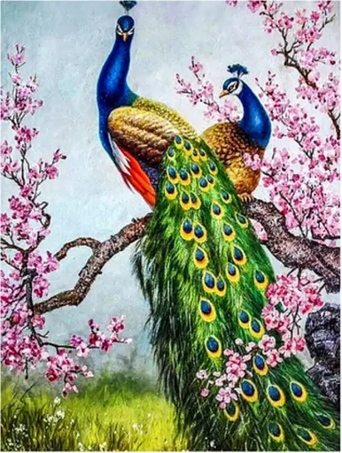Алмазная мозаика по номерам Павлины, 30x40 см, полотно на раме