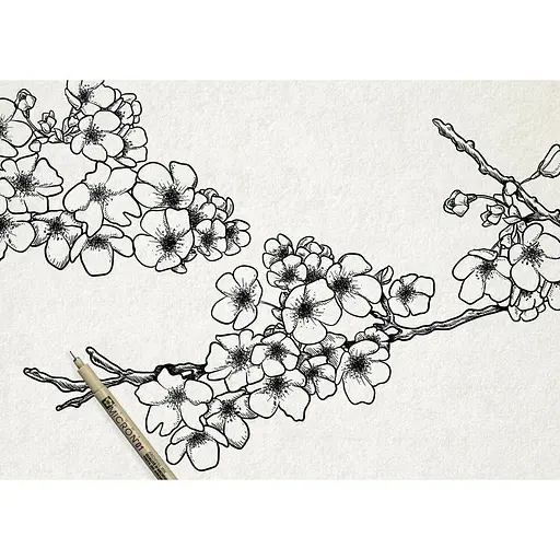 Набор линеров Pigma Micron DESIGN 3 шт. Sakura - фото 3