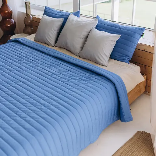 Набір Sonex Nassau: покривало двостороннє 240х220 см + наволочка 70х50 см 2 шт. синій (SO102519)