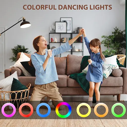 Портативний Bluetooth-динамік Fede Machines караоке з 2 бездротовими мікрофонами - фото 6