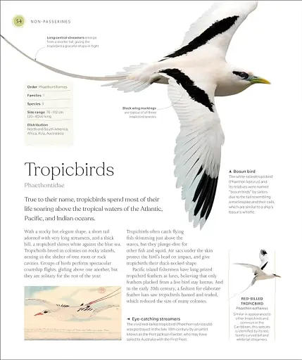 The Bird Book - фото 2