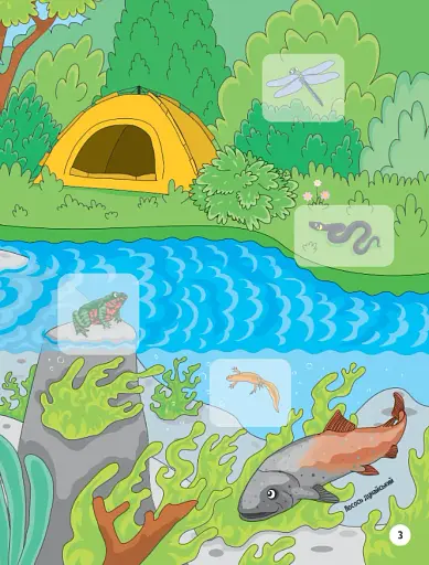 Тваринки під водою - фото 4