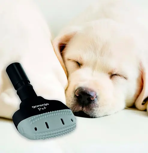 Пылесос Gorenje VCEA28GLBK (731459) [106349] - фото 6