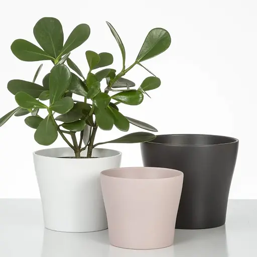 Кашпо для квітів Scheurich 808 кераміка 17 см молочний (4002477316437) - фото 3